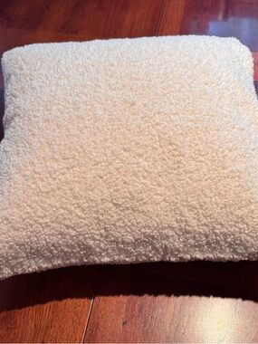 Pottery Barn Ivory Bouclé Throw Pillow, 20” w/ Feather Insert, Textured